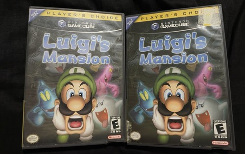 Luigi mansion nintendo - luigi's,