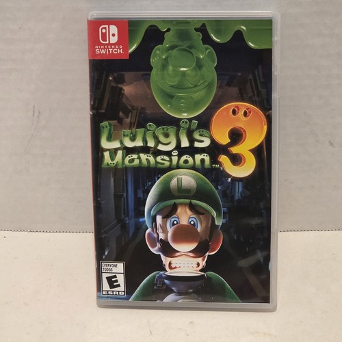 Luigi mansion case - mansion, no