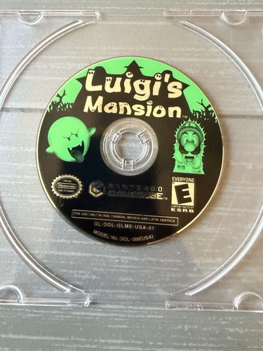 Luigi mansion nintendo - luigi's,