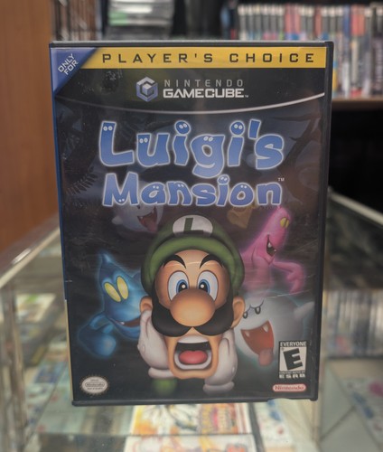 Luigi mansion nintendo - luigi's,